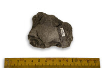 F 00291
<br/>
<br/>
<em></em>